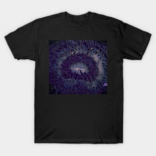 CLOWNING AROUND IN A PURPLE ANEMONE T-Shirt